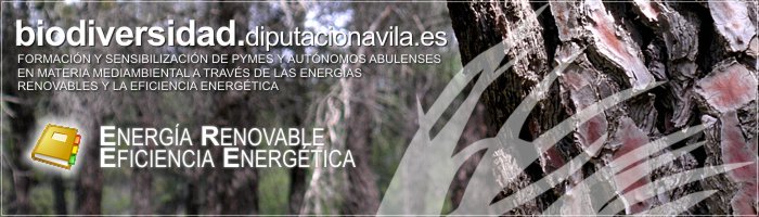 Formación y Sensibilización de PYMES y Autónomos Abulenses en materia medioambiental a través de las Energías Renovables y la Eficiencia Energética