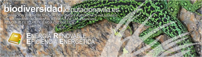 Formación y Sensibilización de PYMES y Autónomos Abulenses en materia medioambiental a través de las Energías Renovables y la Eficiencia Energética