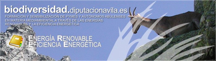 Formaci&oacute;n y Sensibilizaci&oacute;n de PYMES y Aut&oacute;nomos Abulenses en materia medioambiental a trav&eacute;s de las Energ&iacute;as Renovables y la Eficiencia Energ&eacute;tica