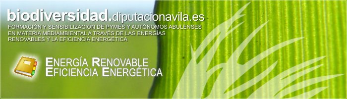 Formación y Sensibilización de PYMES y Autónomos Abulenses en materia medioambiental a través de las Energías Renovables y la Eficiencia Energética